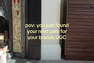 create dog lifestyle ugc, pet ads video, spokesperson ugc ads