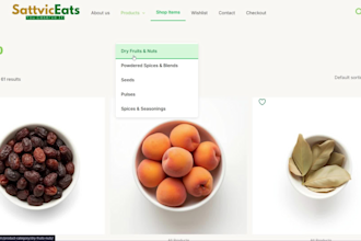 create a professional responsive website or ecommerce website