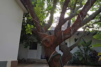 edit real estate videos professionally