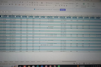 do professional data entry and excel data handling