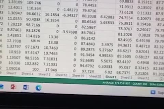 handle data entry excel data analysis and  with accuracy