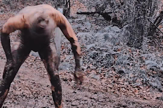 create crazy wild videos for outdoors and travelling