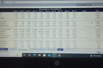 build professional 3 statement financial models and projections