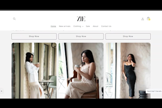 develop a fully functional shopify website design