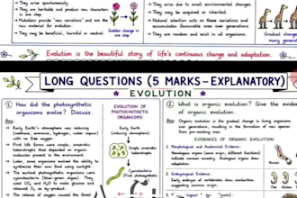 create beautiful handwritten educational notes, posters and infographics