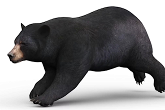 create realistic 3d animal model, cgi animal model, character design, xgen fur