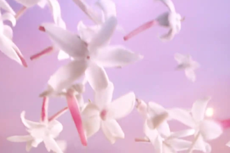 create luxury 3d perfume animation and cinematic cgi product video