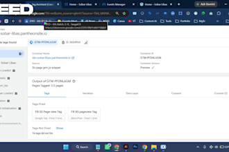 setup facebook pixel, capi, GTM and fix meta pixel tracking