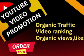 do smart youtube growth views and channel promotion