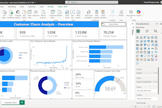 create professional power bi dashboards