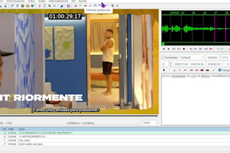 professionally subtitle your video in spanish or portuguese