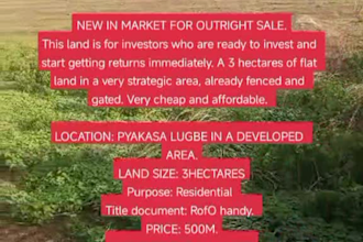 design real estate flyers and property brochures