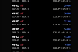install forex trading bot,gold ea robot ,forex ea, trading bot,forex trading ea
