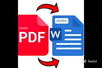 do fast typing PDF to word image to word with 100 percent accuracy