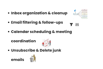 be your executive virtual assistant