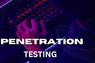 pentest your website or application for vulnerabilities