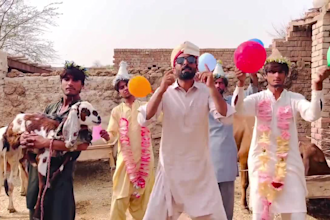 african happy birthday video african happy birthday video