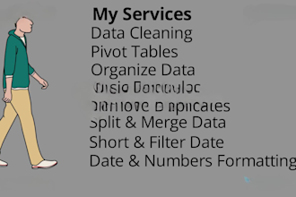 do data cleaning, formatting and organize excel or CSV data