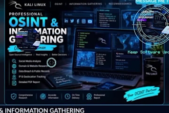 create a professional cybersecurity reconnaissance report using kali linux