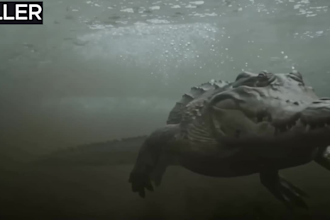 create realistic 16k ai video, ai sci fi movie, ai short films, ai animation