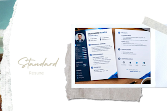 design a professional resume and CV