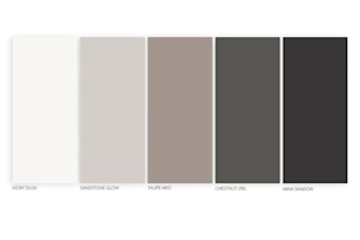 design brand guideline brand style guide brand identity kit branding