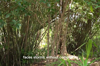 create professional faceless documentary video