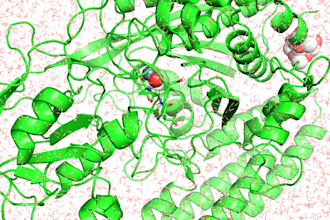 perform a molecular dynamics simulation using gromacs