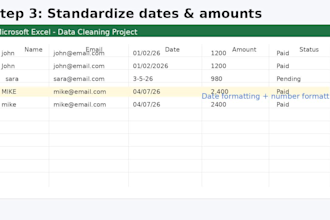 clean, format, and organize your excel data professionally
