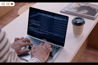 fix wordpress errors and problems