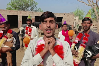 do african happy birthday video or happy birthday video