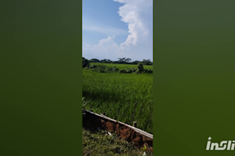 create realistic ai bangladesh village and nature art in 4k