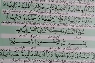 learn quran online with taj weed