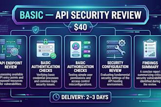 perform API security testing
