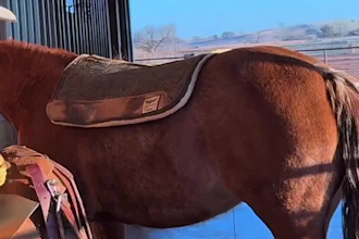 create authentic western lifestyle, husband, dad ugc videos for your brand