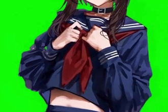 custom vtuber model, 2d vtuber model, rig and animate live2d 3d vtuber anime