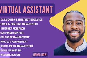 be executive personal virtual assistant for business,  operations VA