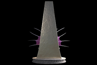create professional 3d models