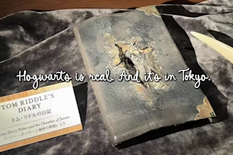 create travel vlogs and lifestyle ugc for tiktok and reels