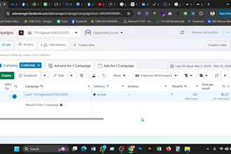 setup and manage facebook ads marketing, fb ads campaign