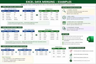 clean, format, merge, split and organize excel data