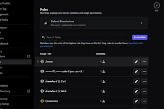 create, design and setup a professional discord server