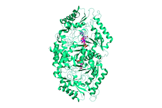 run GPU accelerated molecular dynamics simulations for you