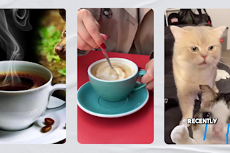 create engaging restaurant promo videos