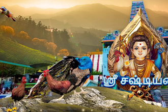 create eye catching visual content in english and tamil