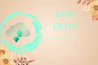 do professional data entry, typing ms word expert