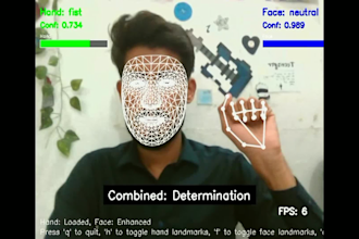 build a yolo object detection and tracking system in python