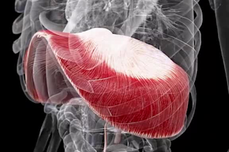 create 3d medical and surgery animation for medical devices