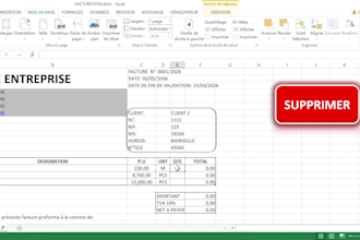 design a professional automated excel invoice with vba