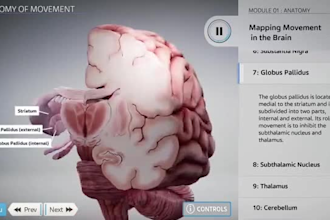 3d medical animation, 3d medical device, surgery, anatomy, scientific animation
